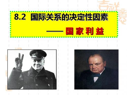 高中思想政治必修2 政治生活 8.2 国际关系的决定因素：国家利益