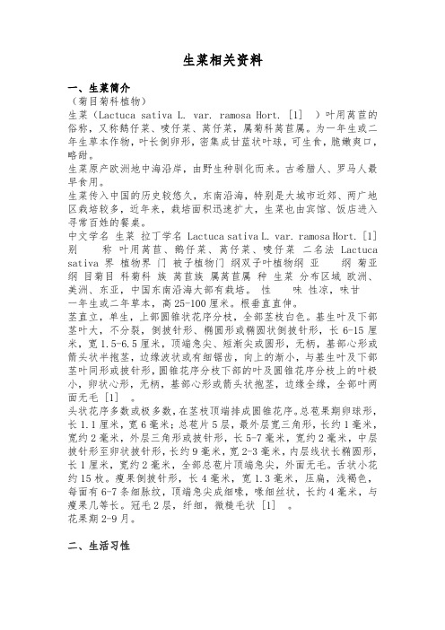生菜相关资料