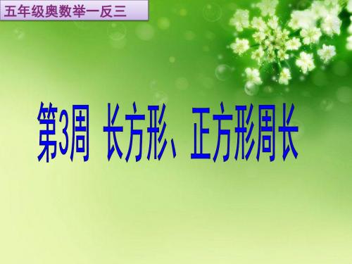 小学数学五年级数学奥数举一反三长方形正方形的周长03