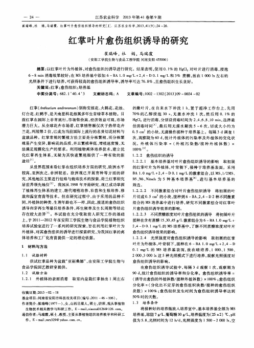 红掌叶片愈伤组织诱导的研究
