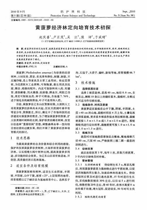 黄菠萝经济林定向培育技术初探