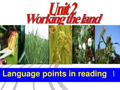 人教版新课标必修四弟二单元 language points inreading Ⅰppt