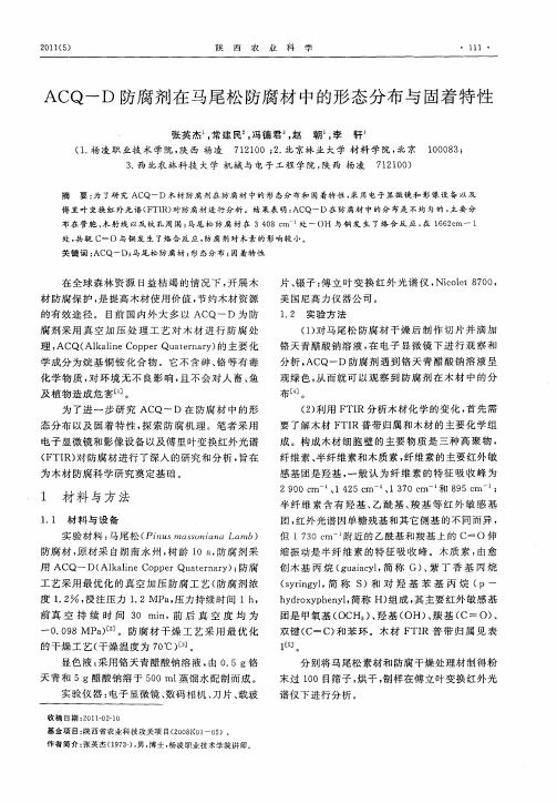 ACQ—D防腐剂在马尾松防腐材中的形态分布与固着特性