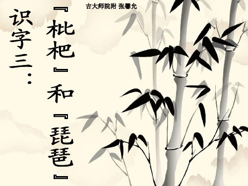 识字三_枇杷和琵琶
