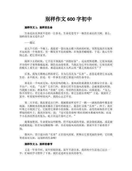 别样作文600字初中