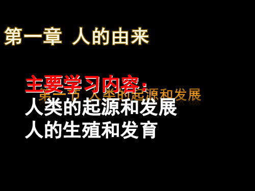 初中生物《人类的起源和发展》PPT课件