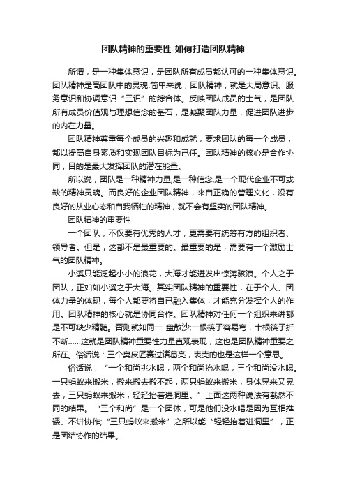 团队精神的重要性-如何打造团队精神