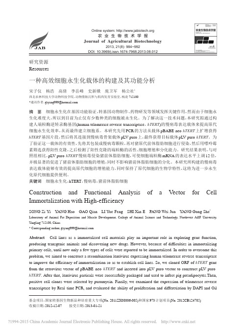 一种高效细胞永生化载体的构建及其功能分析_宋子仪