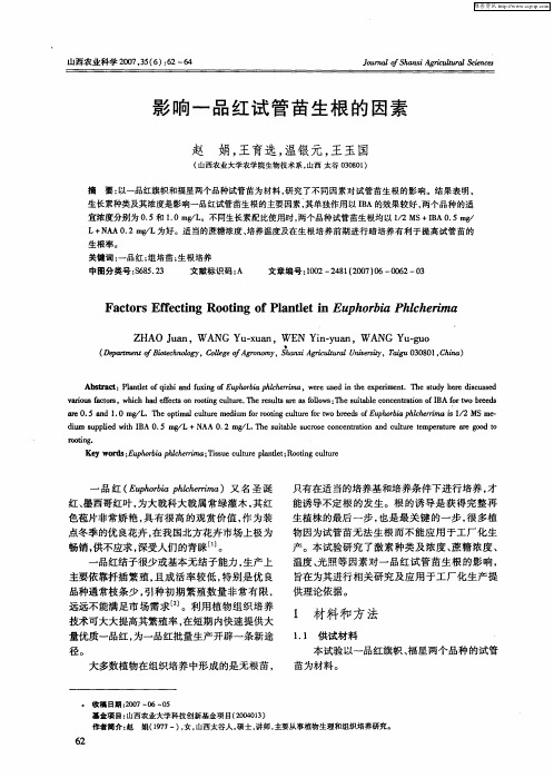 影响一品红试管苗生根的因素