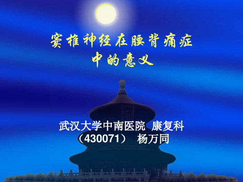 窦椎神经在腰背痛症