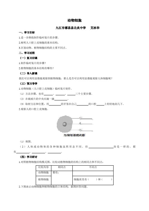 《动物细胞》导学案一