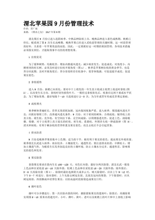 渭北苹果园9月份管理技术