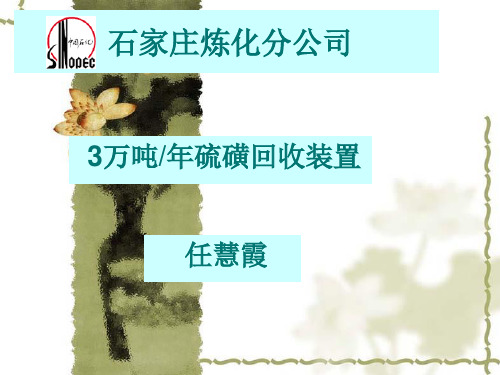3万吨硫磺装置简介