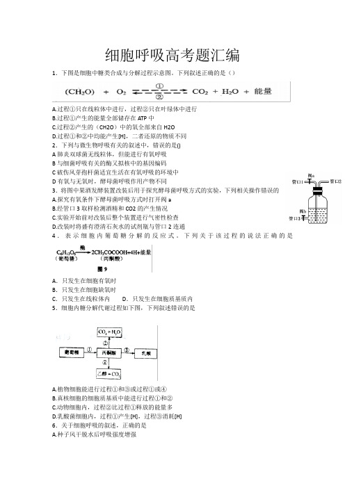 高考试题细胞呼吸