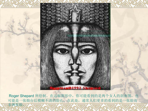 心理学知觉图片 2 ppt课件