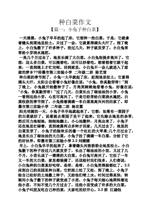 作文范文之种白菜作文