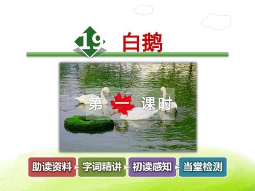 白鹅PPT课件最新5上长春版