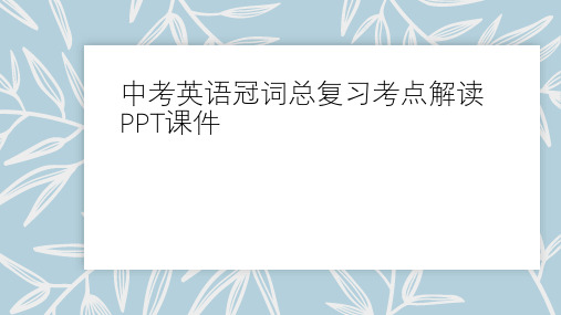中考英语冠词总复习考点解读PPT课件