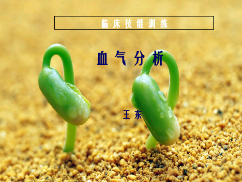 血气分析病例王东幻灯片PPT