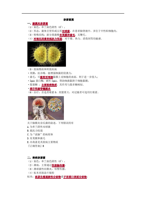 奈瑟菌属考点总结