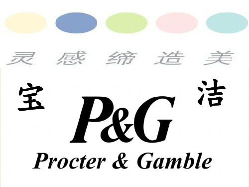 宝洁公司组织结构分析原版