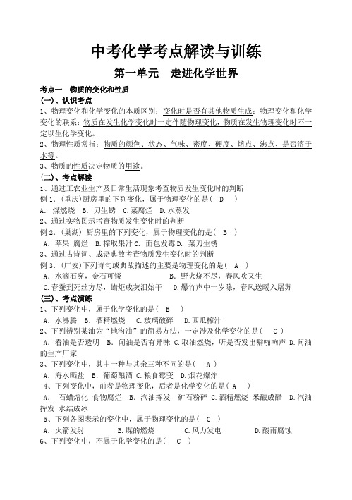 中考化学考点解读与训练