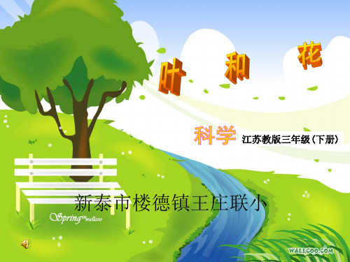 苏教版小学三年级科学《叶和花》(课堂PPT)