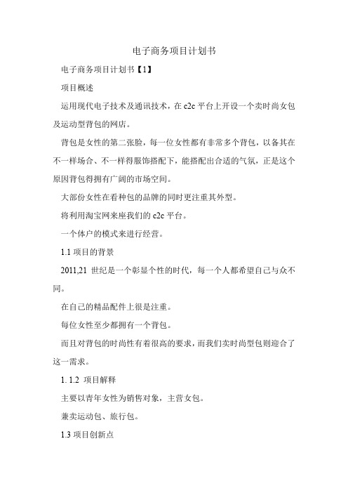 电子商务项目计划书.doc