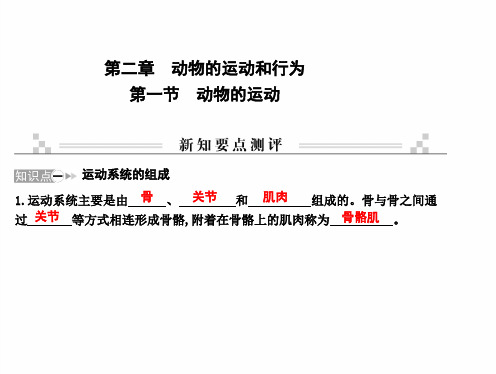 最新人教版八年级上册生物 第二章 动物的运动和行为 第一节 动物的运动