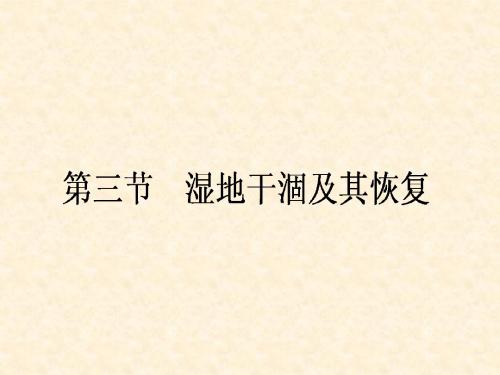 人教版高中地理选修6《环境保护》第四章第三节《湿地干涸及其恢复》课件(共49张PPT)