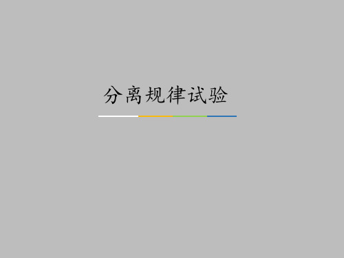 中图版高中生物必修2：遗传与进化分离规律试验