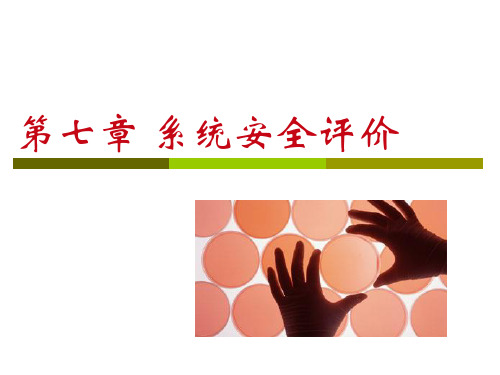 系统安全评价