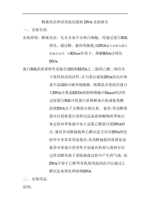 酚氯仿法提取DNA实验报告