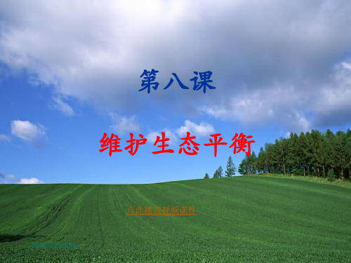 维护生态平衡PPT课件