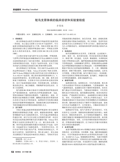 鸵鸟支原体病的临床症状和实验室检疫