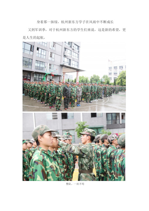 身着那一抹绿,杭州新东方学子在风雨中不断成长