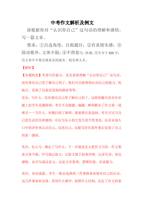 2020年中考作文解析+例文(含往年真题) (3)