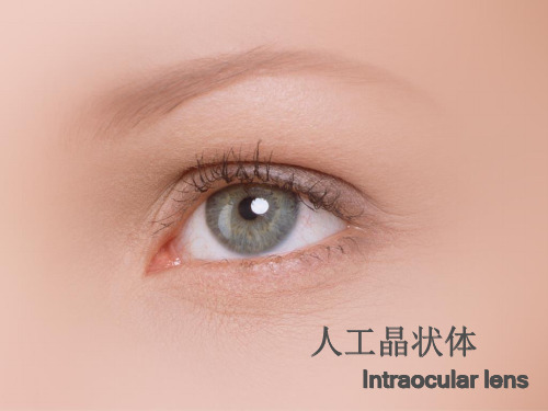 人工晶体课件资料