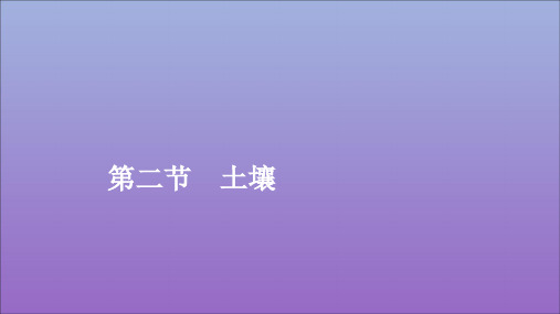 2019_2020学年新教材高中地理第五章植被与土壤5.2土壤课件新人教版必修第一册