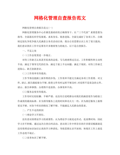 网格化管理自查报告范文