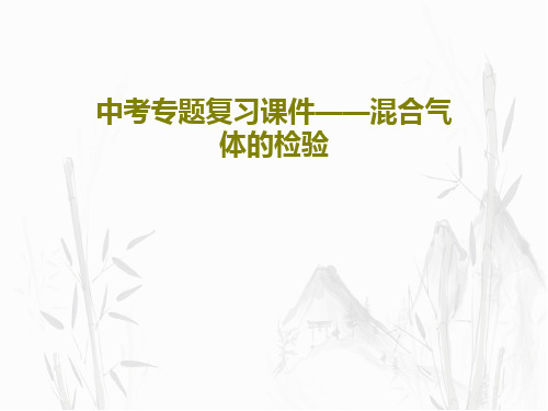中考专题复习课件——混合气体的检验49页PPT