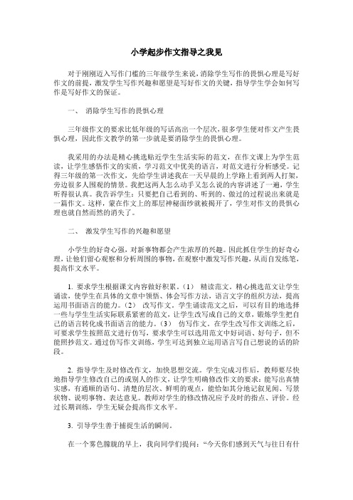 小学起步作文指导之我见