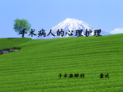 手术病人的心理护理PPT课件