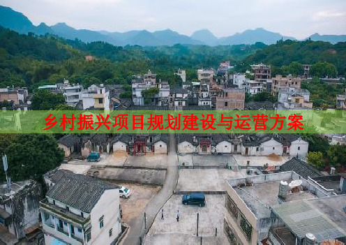 乡村振兴项目规划建设与运营方案