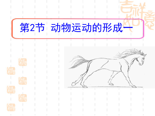 北师大版生物八年级上册15.2《动物运动的形成》课件3