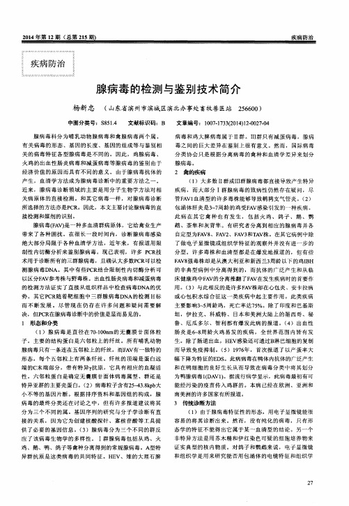 腺病毒的检测与鉴别技术简介
