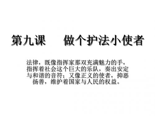 九年级政治做个护法小使者1