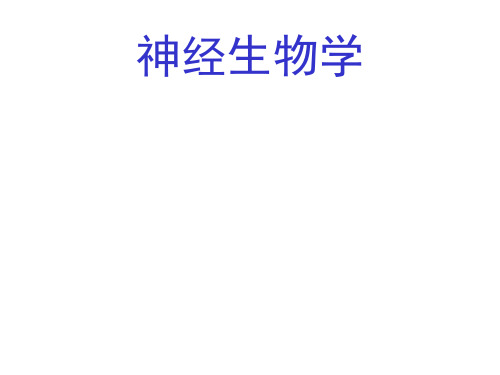 神经生物学的理论概述及神经系统疾病的研究