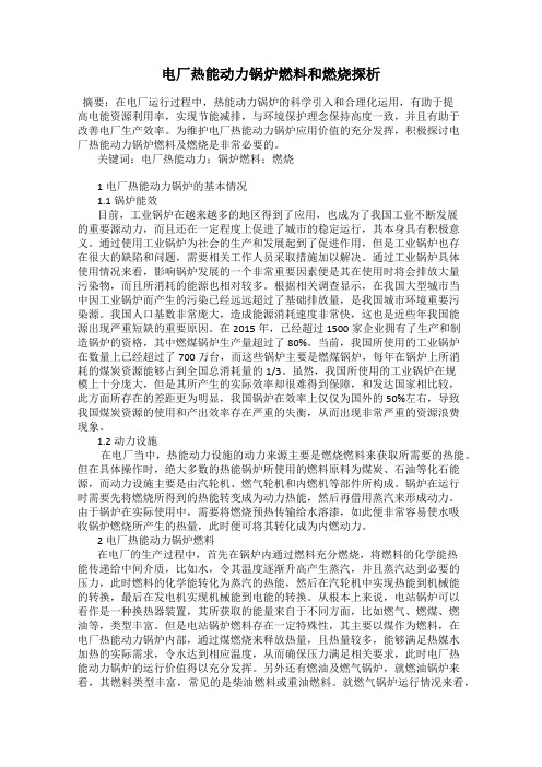 电厂热能动力锅炉燃料和燃烧探析