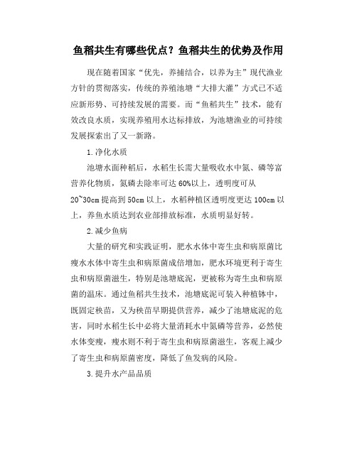 鱼稻共生有哪些优点？鱼稻共生的优势及作用